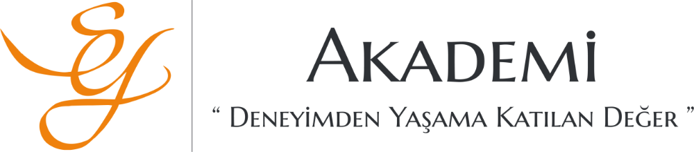 SEY Akademi